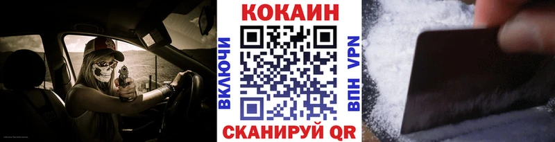 блэк спрут ТОР  Зея  Кокаин Эквадор 