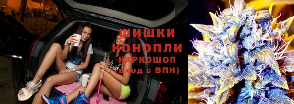 гидропоника Болохово